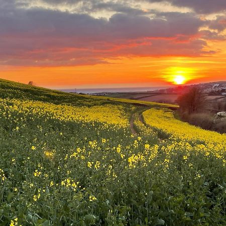 South Milton Beech Hut - A Streamside Family Escape Near Salcombe And Beaches מראה חיצוני תמונה