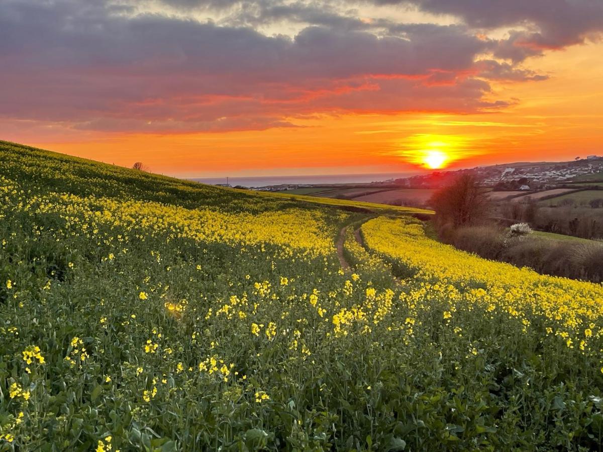 South Milton Beech Hut - A Streamside Family Escape Near Salcombe And Beaches מראה חיצוני תמונה