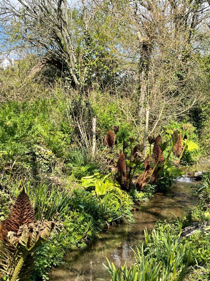 South Milton Beech Hut - A Streamside Family Escape Near Salcombe And Beaches מראה חיצוני תמונה