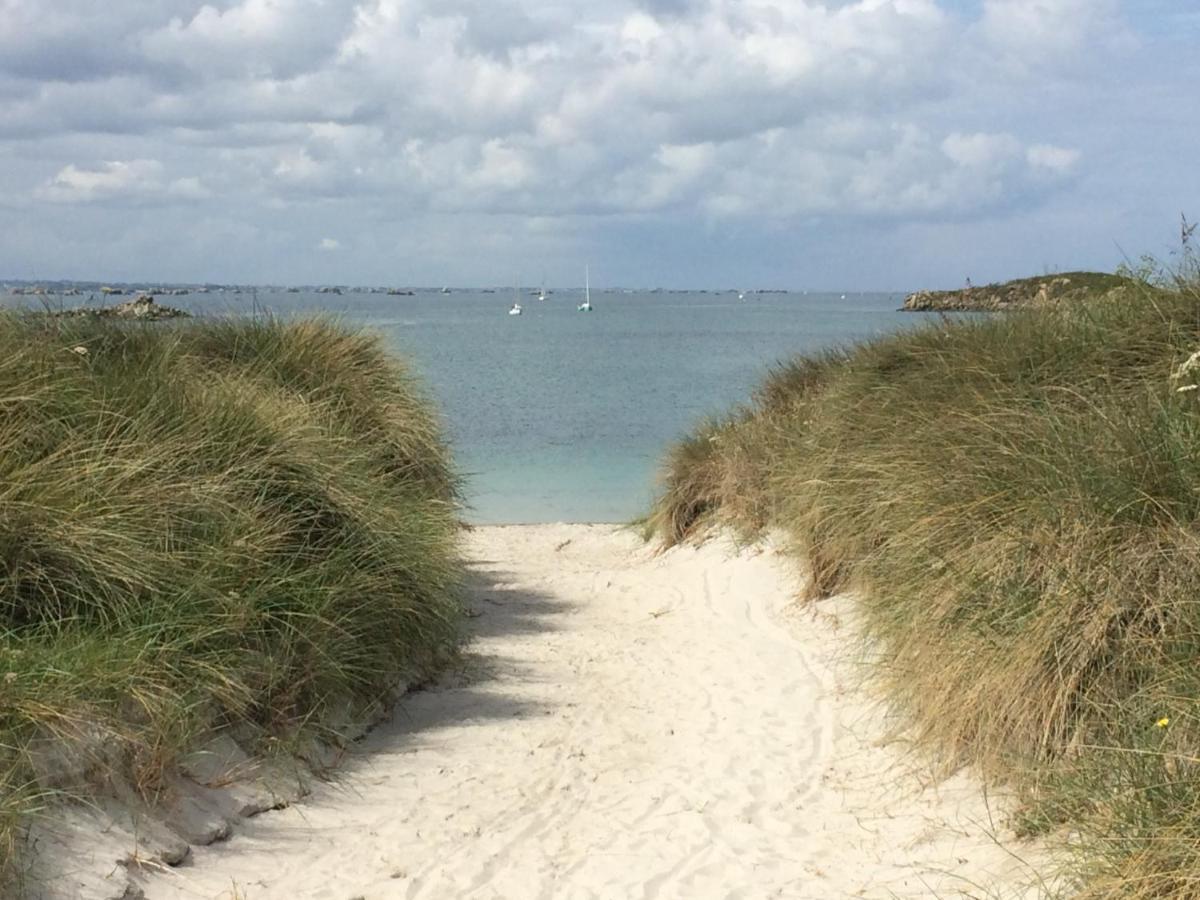 South Milton Beech Hut - A Streamside Family Escape Near Salcombe And Beaches מראה חיצוני תמונה