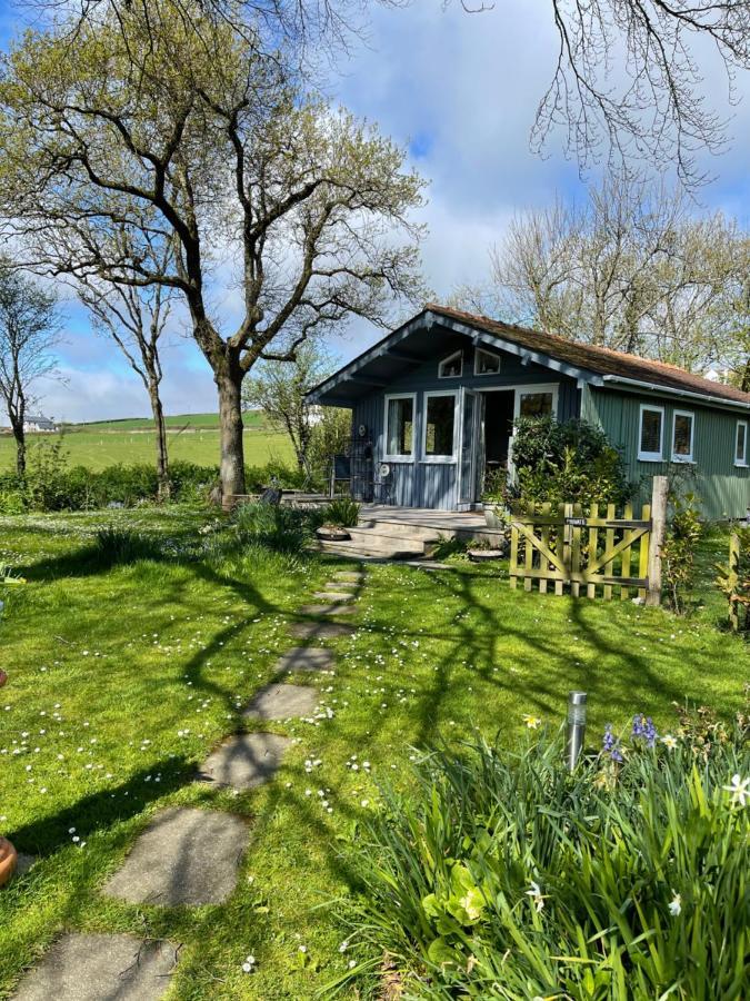 South Milton Beech Hut - A Streamside Family Escape Near Salcombe And Beaches מראה חיצוני תמונה